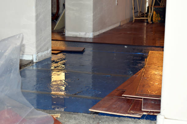 Professional Flood Cleanup technician working in Rutherford, NJ